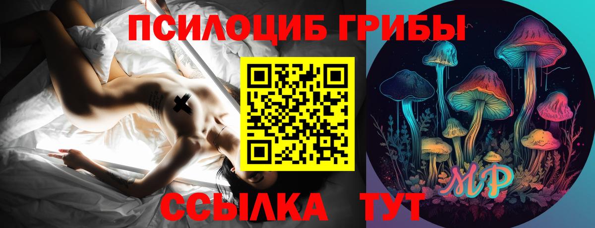 Псилоцибиновые грибы Psilocybe  Вход с VPN  Верхний Уфалей 
